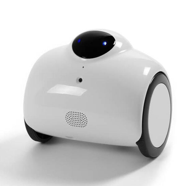 Standard HD WIFI Family Robot with Remote Control & 2-Way Voice Intercom & Automatic Charging
