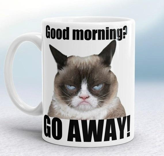 Grumpy Cat Mugs Coffee Ceramic White Mugs Printed Novelty Porcelain Beer Tea Kitchen Drinkware Cup